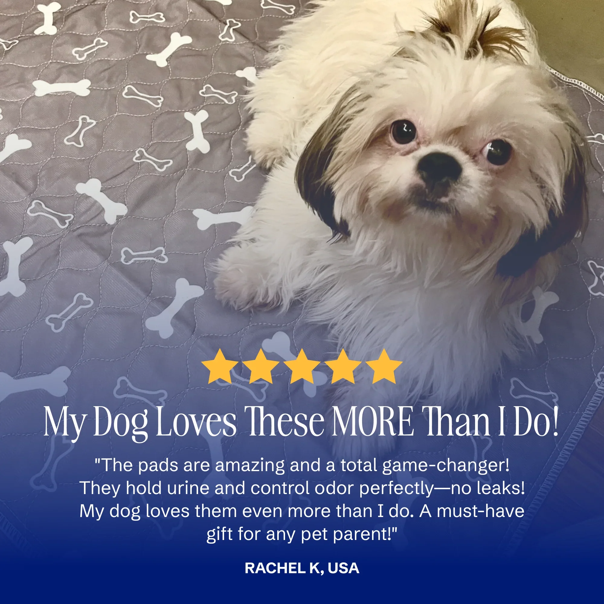 Toaletná absorpčná podložka pre psíkov – Obrázok 8