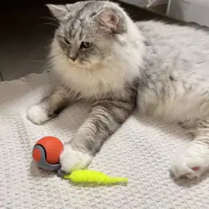 Speedy Tail 2.0 Cat Toys, Smart Interactive Cat Toy Balls, 2 Speed Adjustment Automatic Moving Ball with Replacement Tail